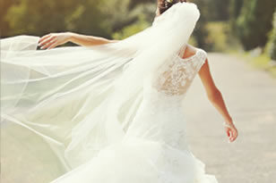 Bridal Veils & Accessories